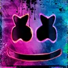 user53061655042545