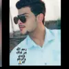 sh_ash12