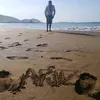 aritxi32