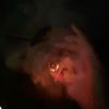 camilita_170_