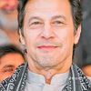 pakistantahreekinsaaf6