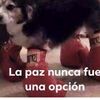 saul_r08
