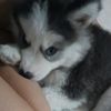 bruno_jkz