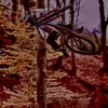 _gabriel_law_4