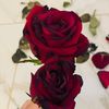 haithem.saad0