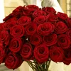 noor_6252123