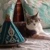 zozo_queen1981