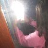 zoee_cubas5