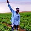 user7199399402267