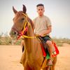 ahmed.bn15