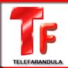 ‼️TELEFARANDULA‼️