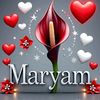 maryammuhdadamu081