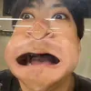brayerip_