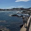 mkolamelo