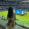 masa.hamza0