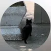 user1711202325
