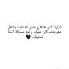alaa.yaser20