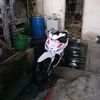 asasappgf
