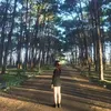 nguyenca1210