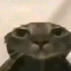 mascarapreta21