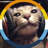 cat_in_headphones5