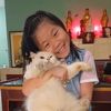 何春兰