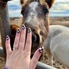 shelbydiynailtech