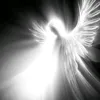 qwg_11