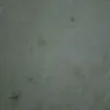 mukung6588766