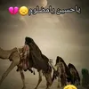 user00044411236885