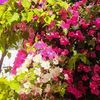 noor_abbasi08
