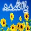 aizausmani123