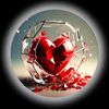 rana__hamza46