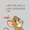 shahid.pervez.786