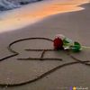 user61629052036883