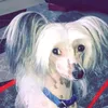 lindareid6555