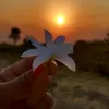 allieahlayug_22
