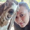reni.bibit