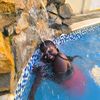 user9138419128261