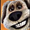 imadoggy03