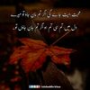 noman.khan1398