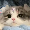yunya_o3