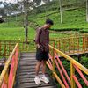 hanif