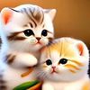 tom.jerri28
