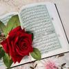 quran.com987