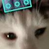 nijasoja32