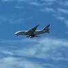snake644