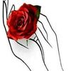 ommohammad.alqawa