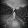 alr_010