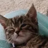 sammy_march862